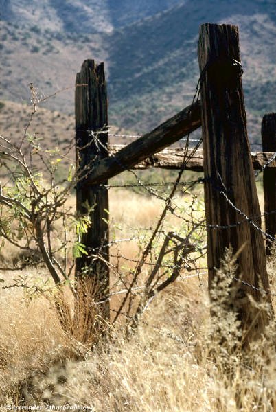 fence posts