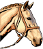 horse