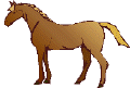 horse-head